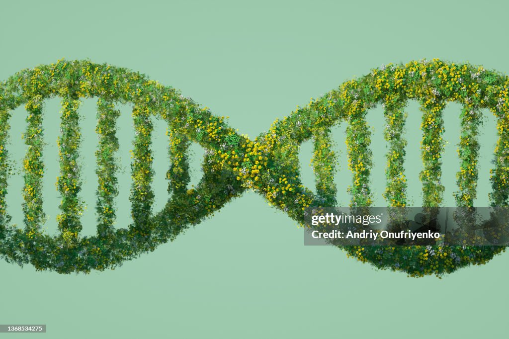 Green DNA