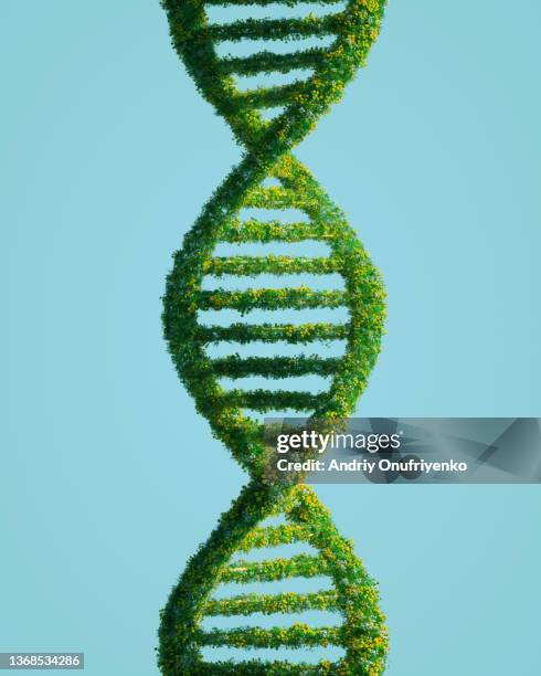 green dna - dna spiral stock pictures, royalty-free photos & images