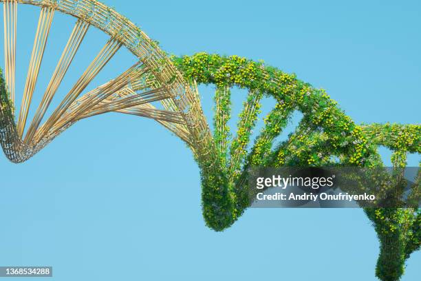 green dna - genetic mutation photos et images de collection