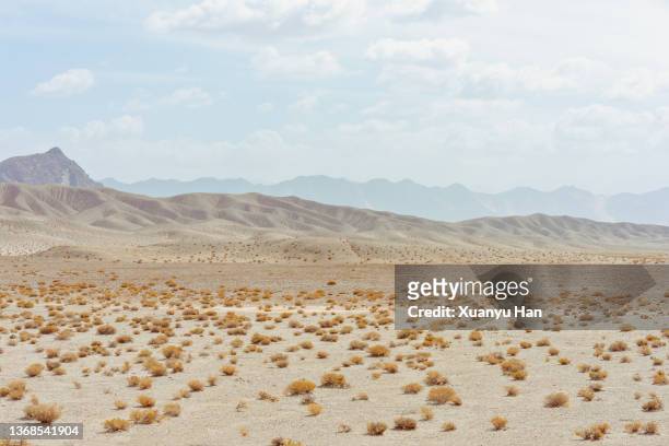 scenic view of desert - gobi desert stock-fotos und bilder