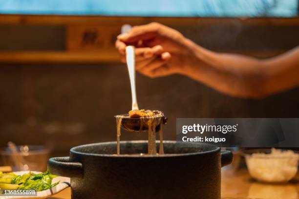 chinese specialties, chicken stew with mushrooms - plat mijoté photos et images de collection