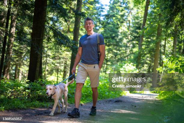 mature man walking in forest with his pet dog - middle age man and walking the dog stock pictures, royalty-free photos & images