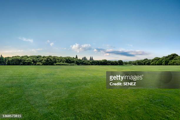 grassland sky and grass background in a park - garden landscape stockfoto's en -beelden