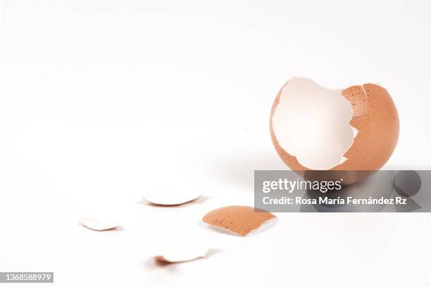 close-up of broken eggshell against white background - muschel close up studioaufnahme stock-fotos und bilder