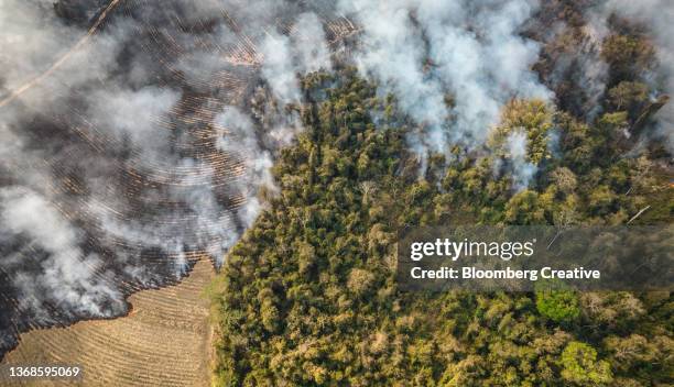 aerial view of smoke rising above burning land during a fire - fire destruction stock pictures, royalty-free photos & images