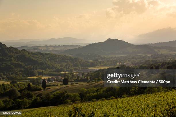 castello di gradara,scenic view of agricultural field against sky during sunset,gradara,marche,italy - marche italia - fotografias e filmes do acervo