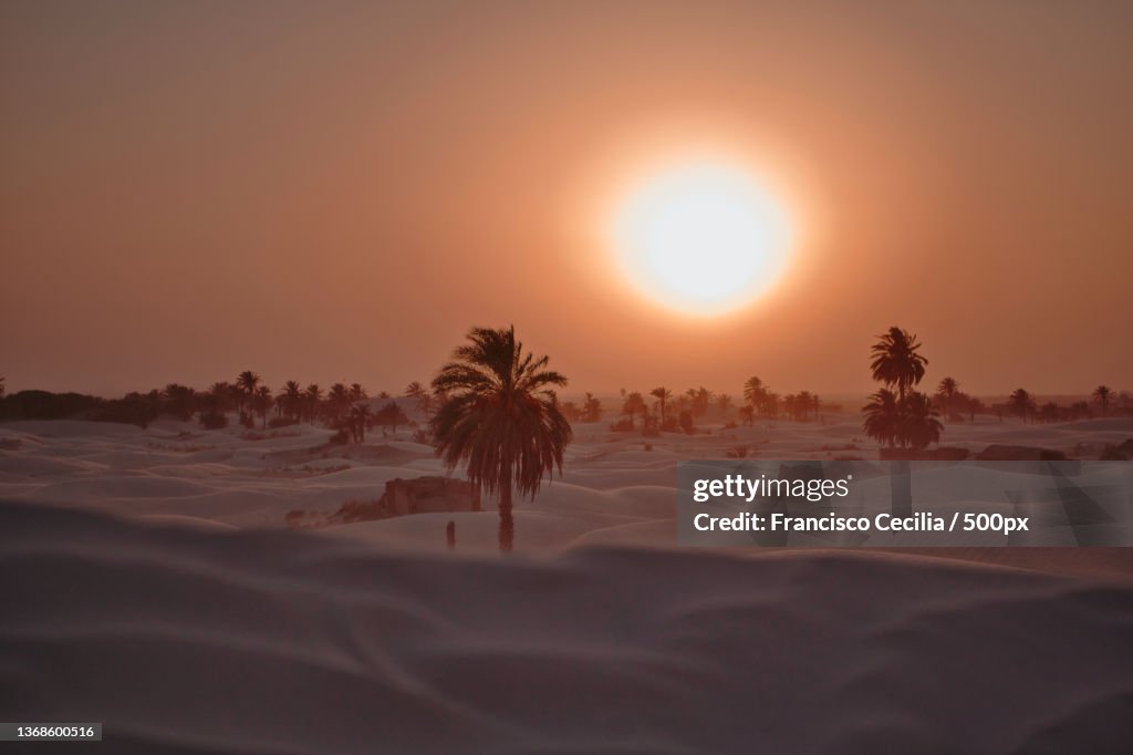 In the desert,Scenic view of desert against sky during sunset,Zaafrane,Tunisia