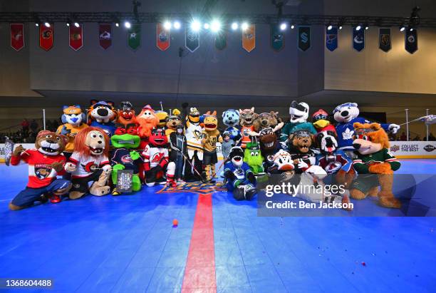 The NHL team mascots pose for a group photo during the Truly Hard Seltzer NHL Fan Fair on February 03, 2022 in Las Vegas, Nevada.