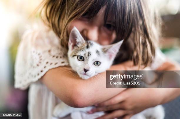 kind liebt ihr haustier kätzchen, mädchen kuschelt ihren katzenbegleiter, freundschaft, kindheit und tiere - girls cuddling cat stock-fotos und bilder