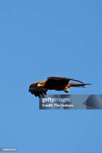 1,564 Bill Ind Photos & High Res Pictures - Getty Images