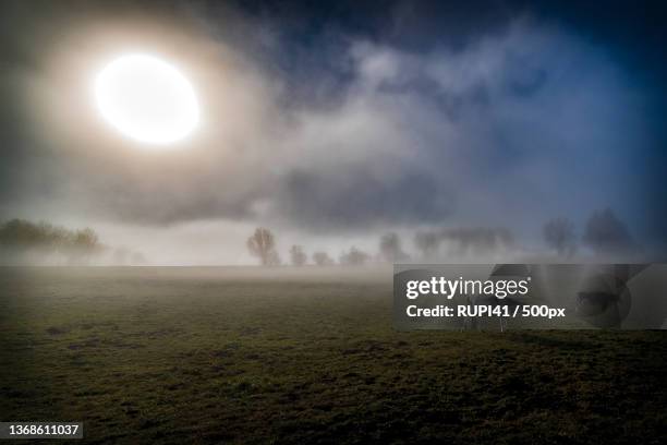 brume des champs,scenic view of field against sky,switzerland - ciel romantique stock pictures, royalty-free photos & images