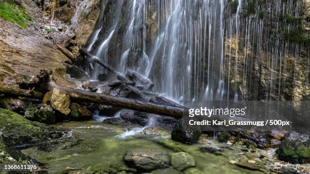 lebenselixier - kostbares wasser,scenic view of waterfall in forest - wasser splash stock pictures, royalty-free photos & images