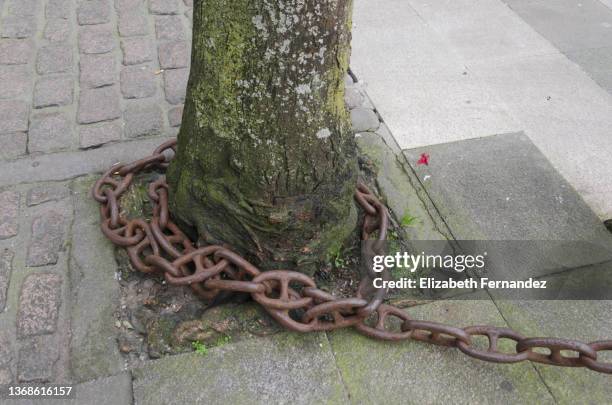 109 Chained To Tree Stock Photos, High-Res Pictures, and Images - Getty ...