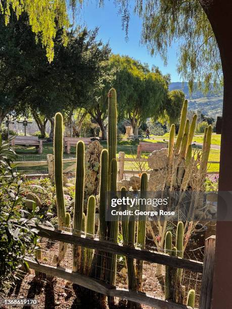 Garden filled with cactus is viewed at the Old Mission Santa Ynes on February 2 in Solvang, California. Because of its close proximity to Southern...
