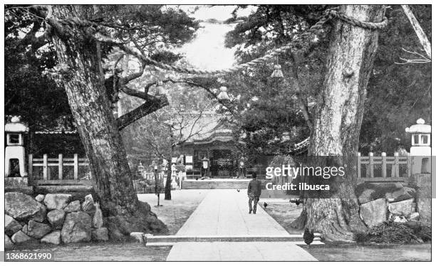 antique travel photographs of japan: centenarian trees - over 80 stock illustrations
