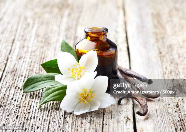 jasmine and vanilla essential oil on wooden background - jasmine stock pictures, royalty-free photos & images