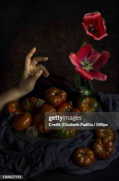 day 11,red for flowers,tomatoes and love,madrid,spain - clave baja stock pictures, royalty-free photos & images