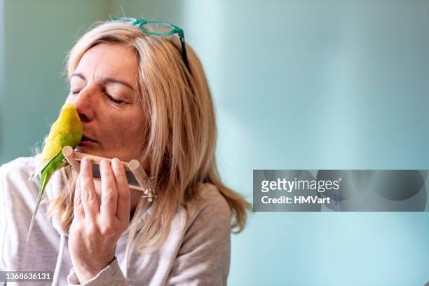 woman pampering cute yellow budgerigar - pampers stockfoto's en -beelden