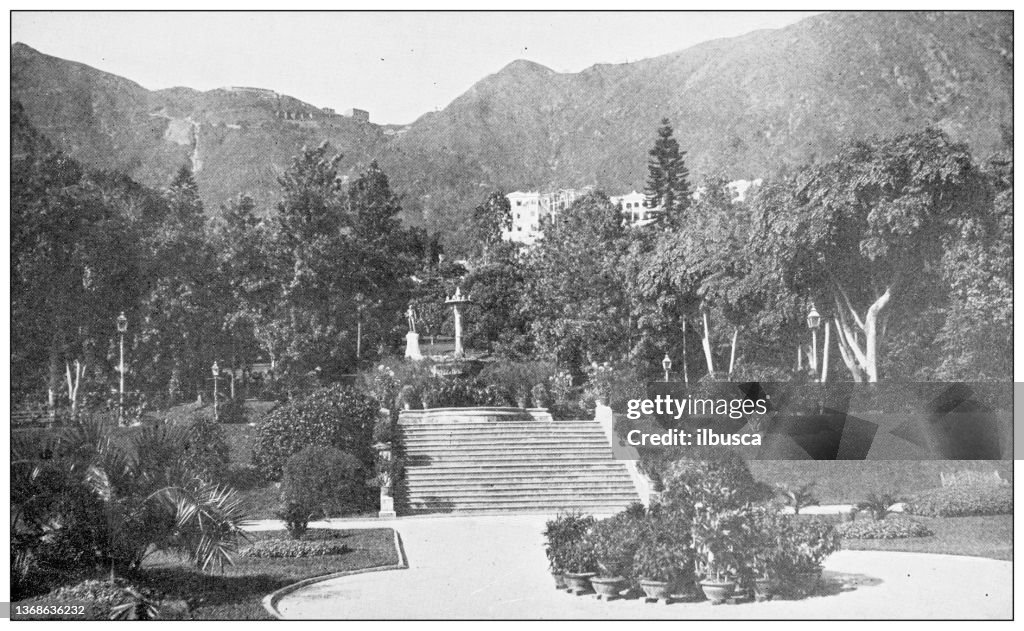 Antique travel photographs of China and Hong Kong: Public gardens, Hong Kong