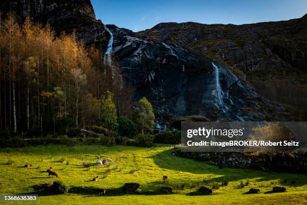 waterfall in autumn landscape, gleninchaquin park, kenmare, county kerry, ireland - gleninchaquin stock pictures, royalty-free photos & images