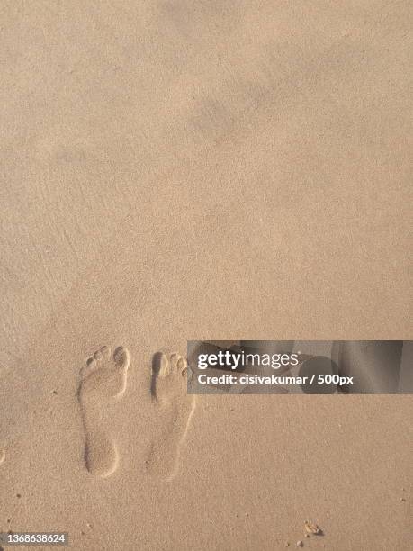 sand art in lovely beach,high angle view of footprints on sand at beach - fußabdruck stock-fotos und bilder