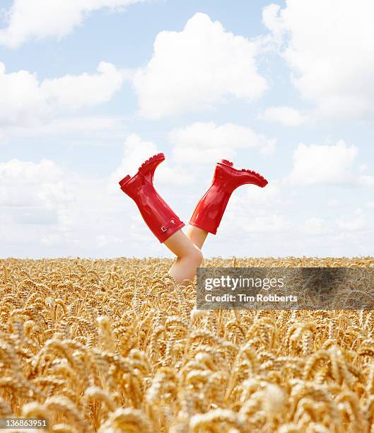young woman with her legs in the air in crop field - woman boots fotografías e imágenes de stock
