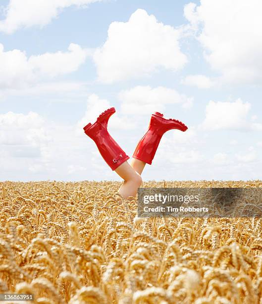 young woman with her legs in the air in crop field - bottes couleur or photos et images de collection