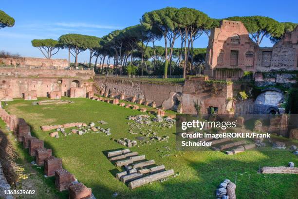 historic stadium hippodrome of emperor domitian with rear bend around small fountain, in foreground fragments of ancient columns draped by archaeologists, right ruins of imperial box, palatine hill, rome, lazio, italy - palatin stock-fotos und bilder