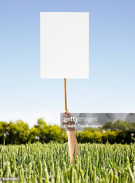 woman holding placard out of crop field - placard stock pictures, royalty-free photos & images