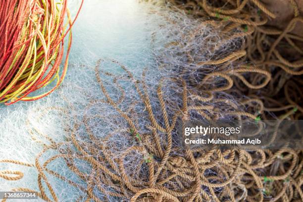 Muhammad Fish Muhammad Fish Photos et images de collection - Getty Images