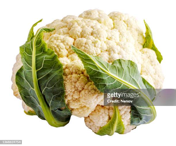 white cauliflower - broccoli white background stock-fotos und bilder