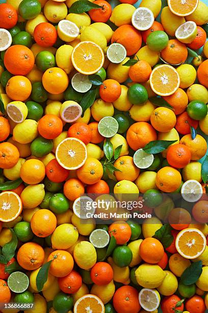 citrus fruit overhead - obst stock-fotos und bilder