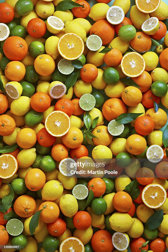 Citrus fruit overhead