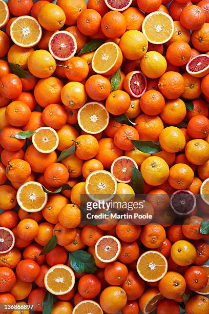 citrus fruits overhead - zitrusfrucht stock-fotos und bilder