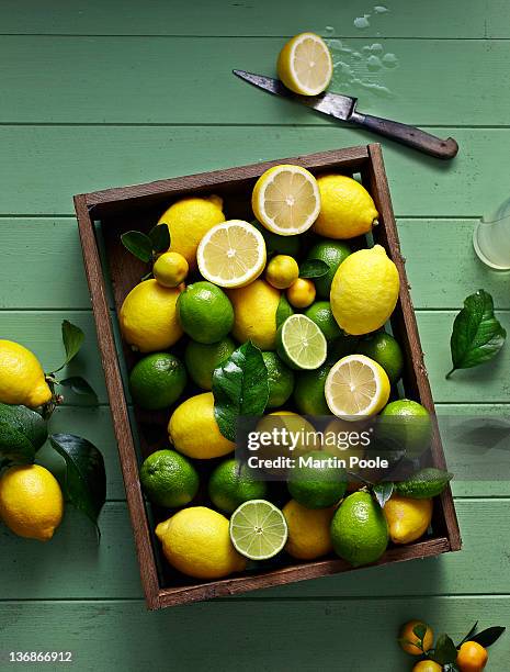 lemons and limes in box overhead - lime bildbanksfoton och bilder