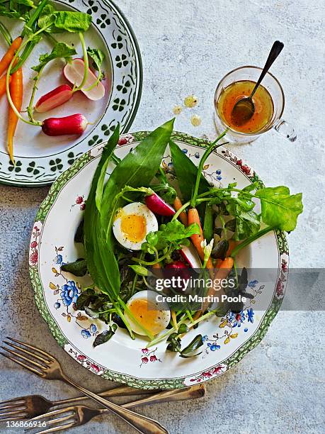 summer vegetable and wild garlic salad - plate of food stock pictures, royalty-free photos & images