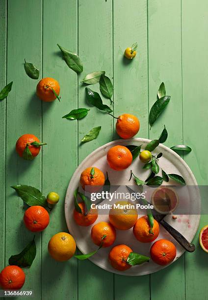 oranges overhead on table - orange fruit 個照片及圖片檔