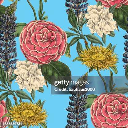 Victorian Botanical, Hand-Colored, Seamless Repeating pattern. Realistic blooming isolated flowers Vintage fabric background. Beautiful Cottage Garden and wildflowers. Wallpaper baroque. Drawing engraving. Victorian Illustration. stock illustration Victorian Botanical, Hand-Colored, Seamless Repeating pattern. Realistic blooming isolated flowers Vintage fabric background. Beautiful Cottage Garden and wildflowers. Wallpaper baroque. Drawing engraving. Victorian Illustration. stock illustration