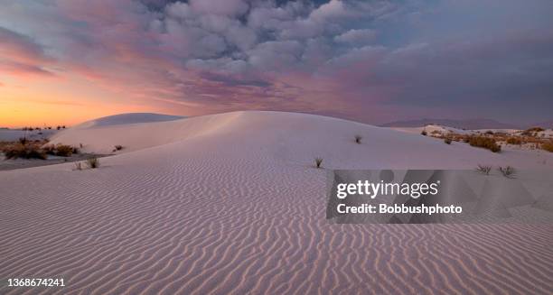 morning, white sands national park - chihuahua desert 個照片及圖片檔