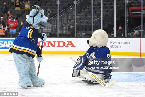 1,591 St Louis Mascot Stock Photos, High-Res Pictures, and Images ...