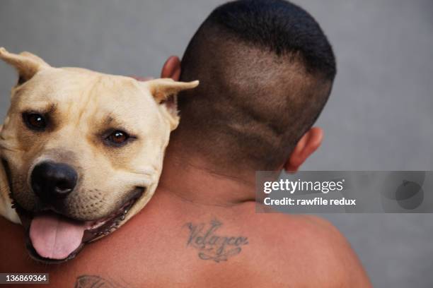 a dog peering over a man's shoulder. - dog looking over shoulder stock pictures, royalty-free photos & images