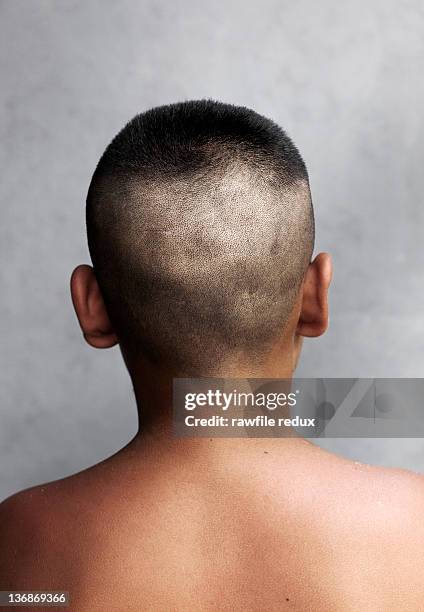 back of a boy's shaved head. - shaved head ストックフォトと画像