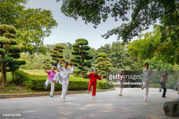 anziani che fanno tai chi al parco al mattino - taijiquan foto e immagini stock