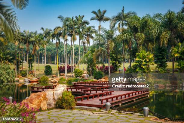 scenic spot, bridge over a pond, palm trees, traditional asian landscape design - nanning stock pictures, royalty-free photos & images