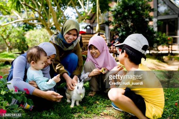 happy family enjoy feeding the livestock on the farm - family rabbit stock pictures, royalty-free photos & images