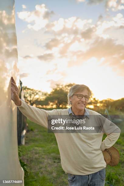 male entrepreneur while standing against on field - village life stockfoto's en -beelden