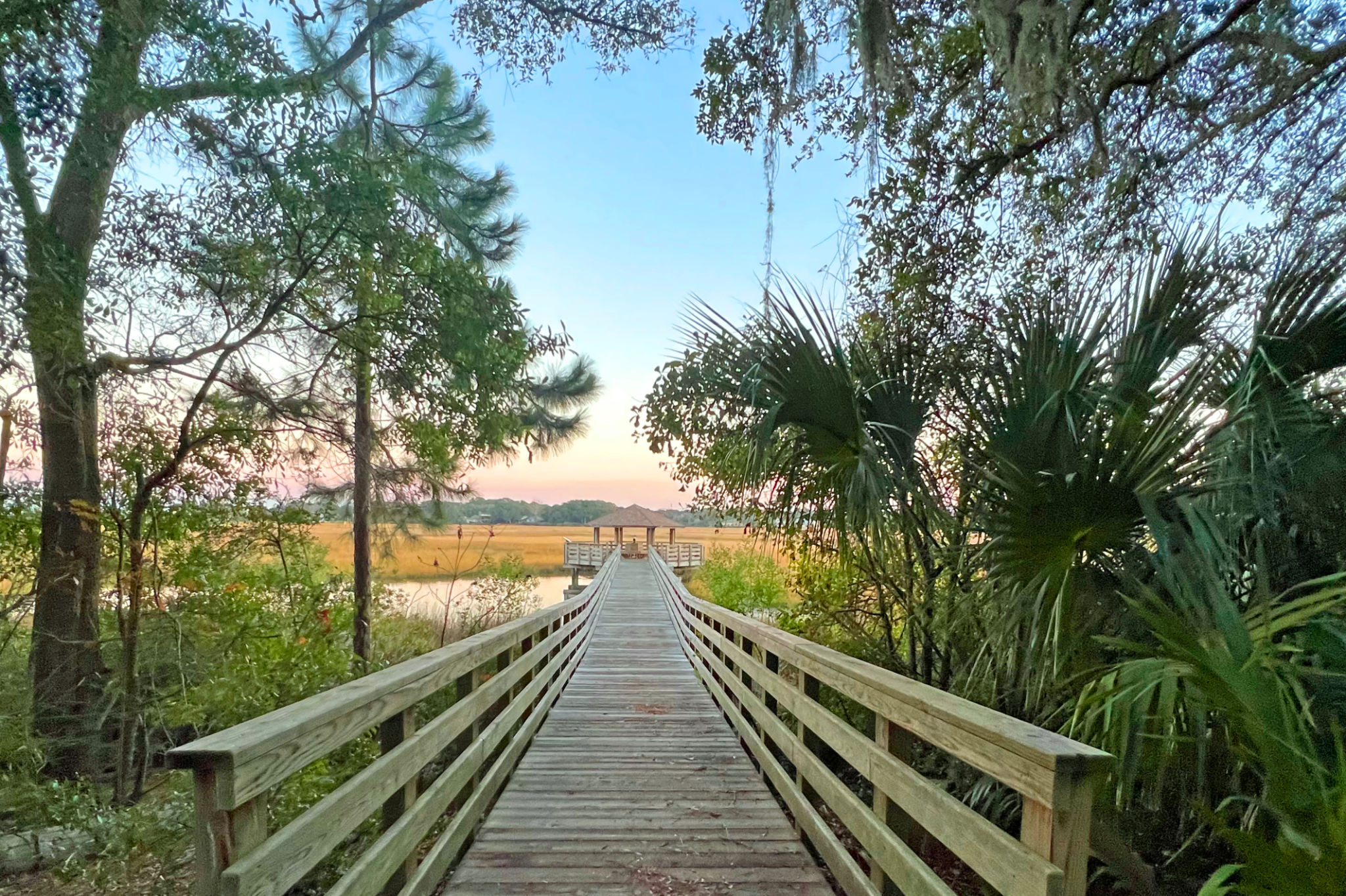 hilton head nature
