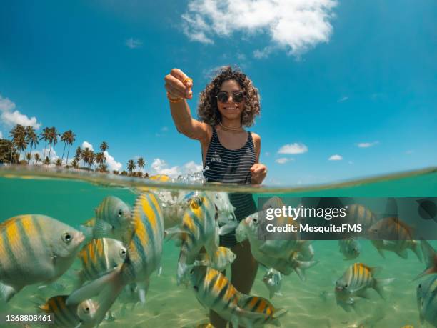 une jeune femme nourrit des poissons sur une plage tropicale - solo traveller photos et images de collection