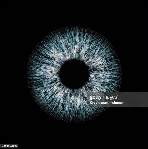 human eye graphic - detail stock illustrations