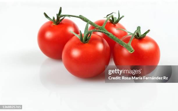 cherry tomatoes on the vine against a white background - tomate fotografías e imágenes de stock